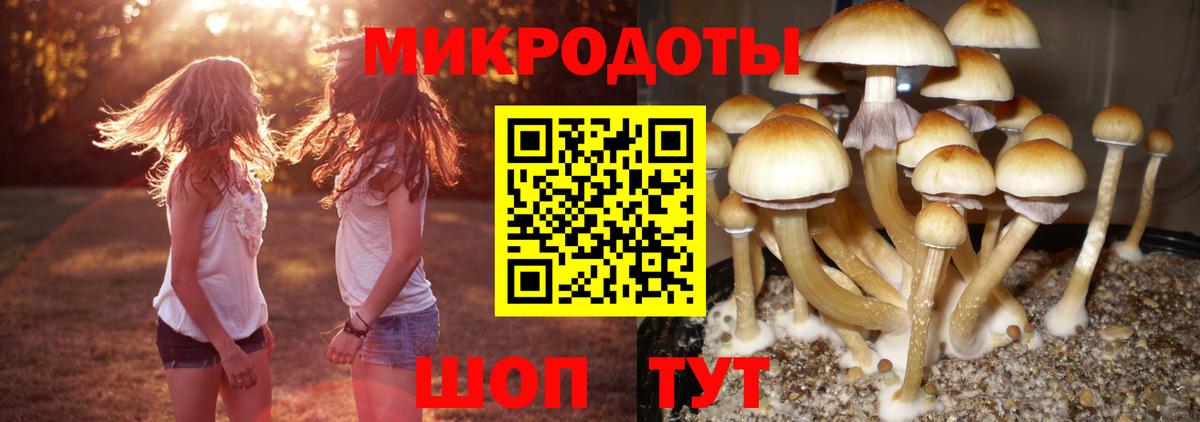 Псилоцибиновые грибы MAGIC MUSHROOMS  Вход с VPN  Псилоцибиновые грибы Cubensis  Мирный 